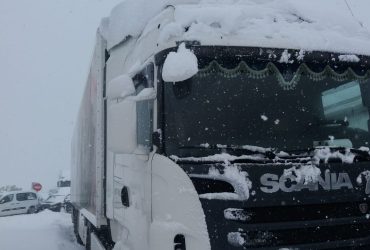 Flota lista para los servicios de transporte frigorífico y especializado.